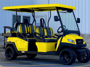 golf car rental miami beach, golf cart rental near me, cart rental miami beach